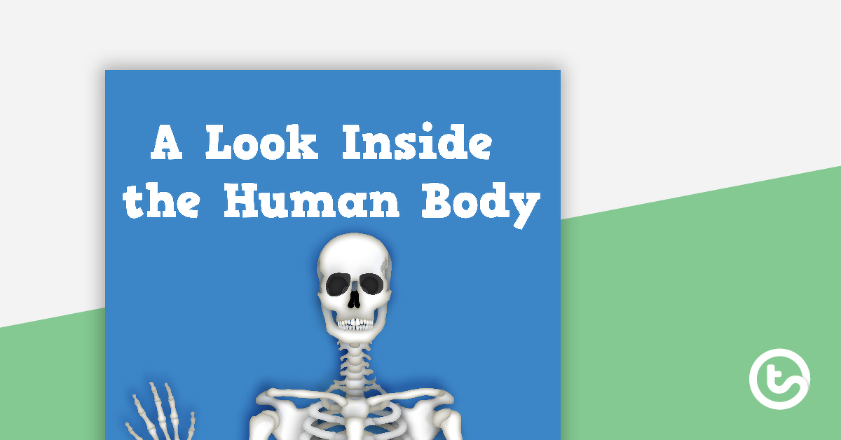 Preview image for A Look Inside The Human Body – Teaching Resource Pack - teaching resource