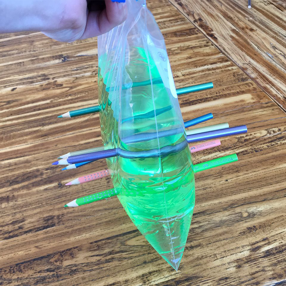 ziploc bag with pencils stuck through it science experiment
