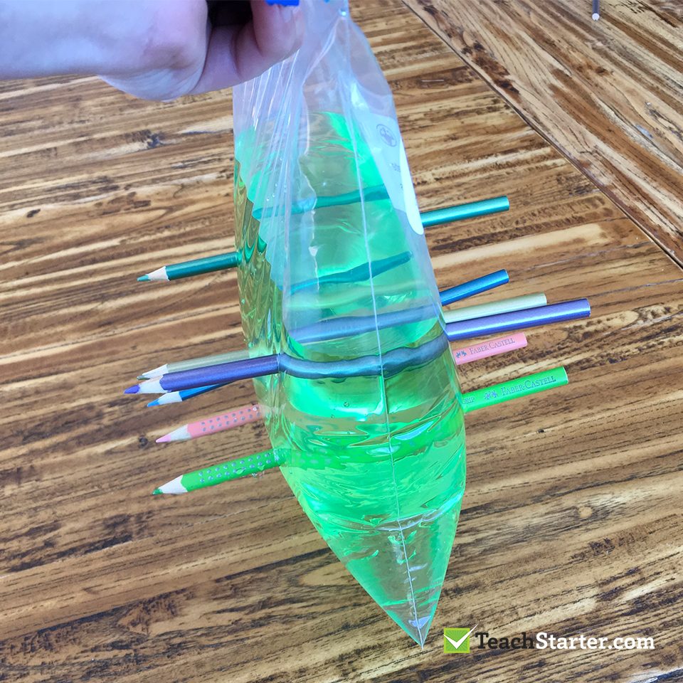 Ziploc Bag Pencil and Water Experiment