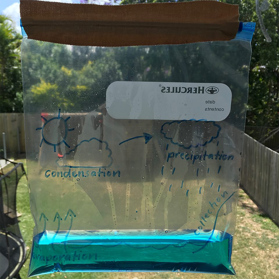 water cycle experiment in zip loc bag