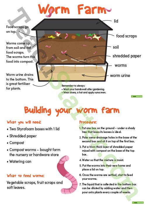 Classroom Worm Farm