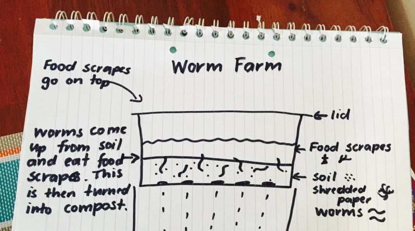 worm farm plans written out on notebook paper