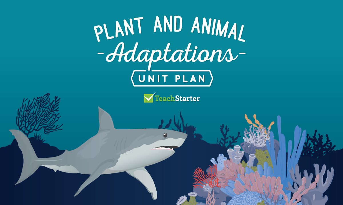 Plant and Animal Adaptations Unit Plan