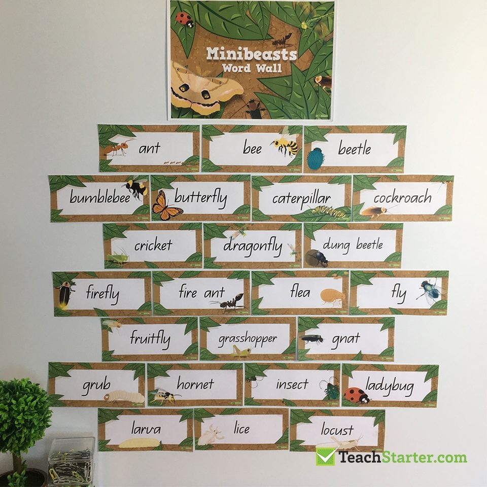 Word Wall Activities for ANY Word Wall