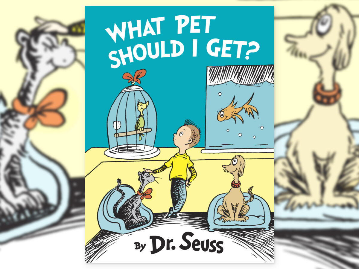 What Pet Should I Get - Persuasive Book for Kids