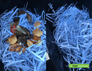 Composting in the Classroom