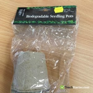 Biodegradable Seedling Pots for Mother's Day Craft