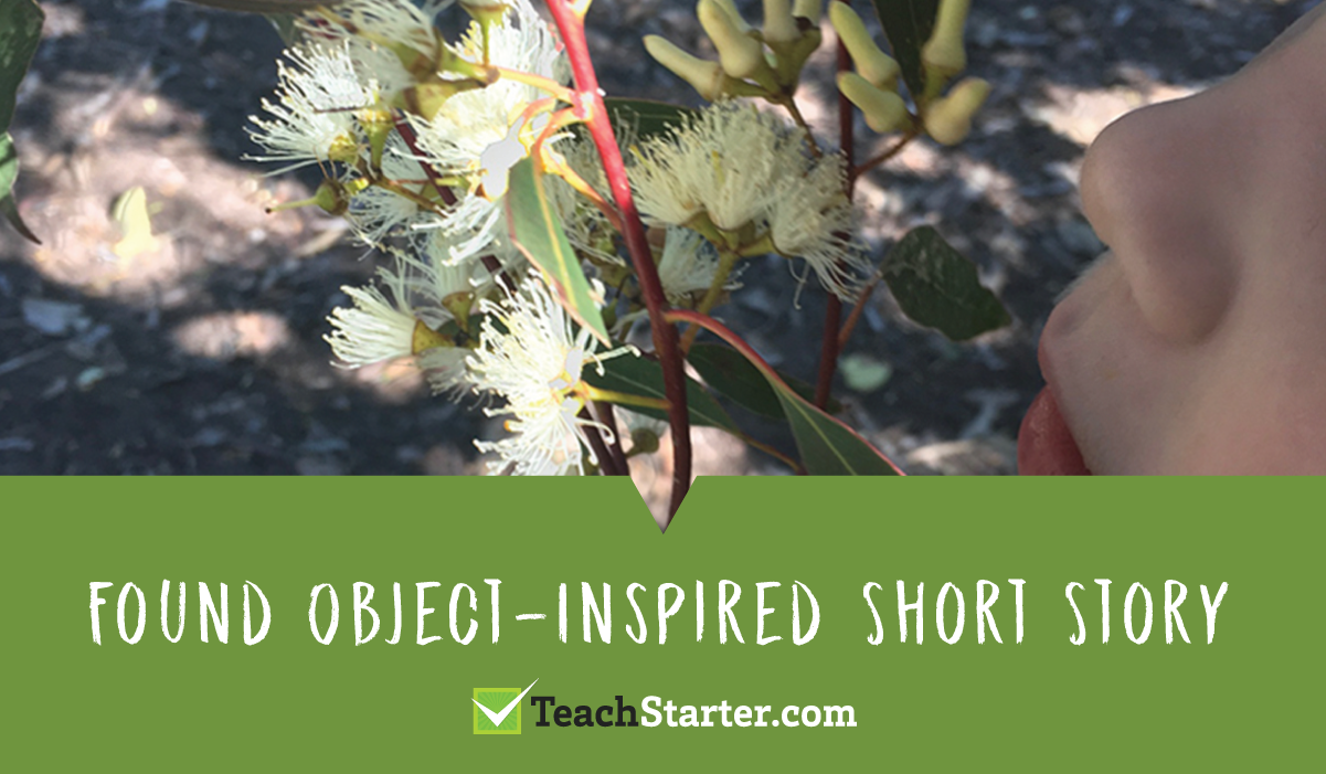 activities and ideas for teaching sustainability in the primary classroom - found object inspired short stories