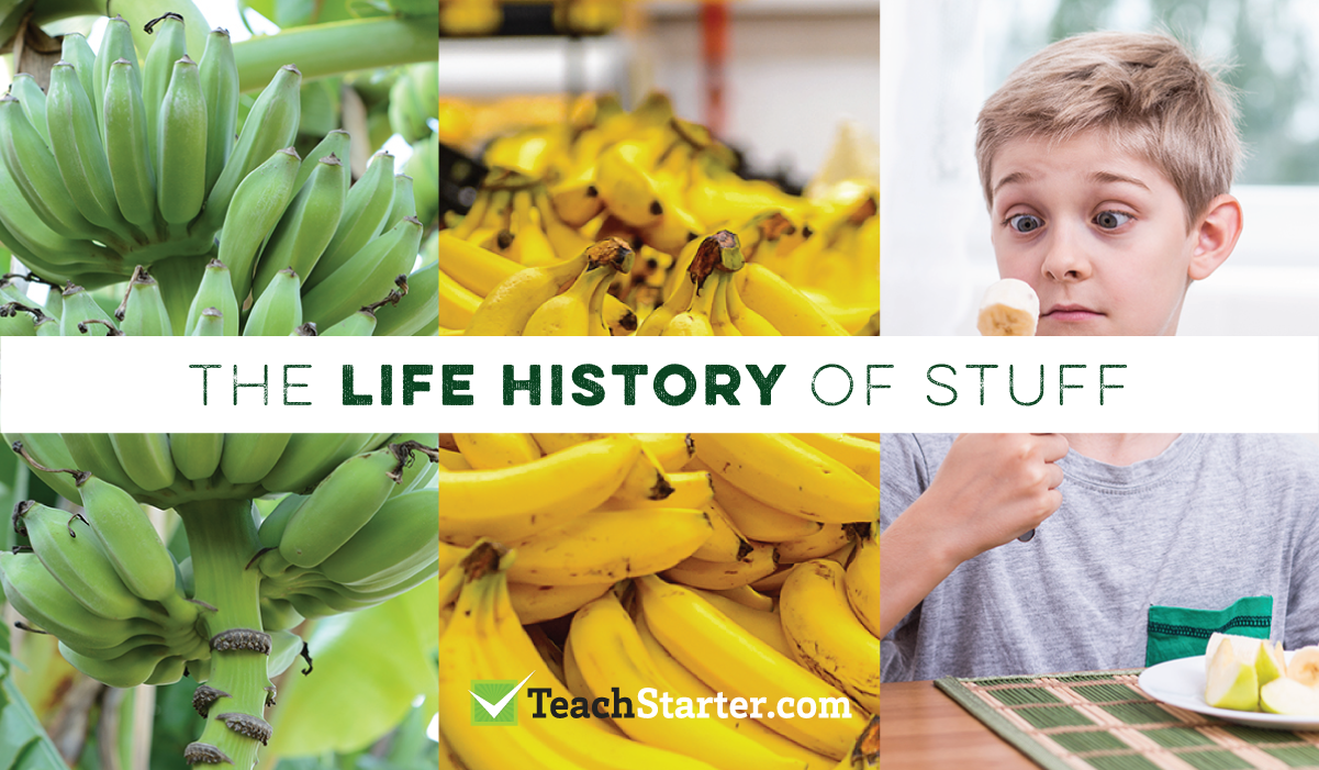 create a timeline to track the history of a food item from production to disposal - ideas and activities for teaching sustainability in the primary school classroom