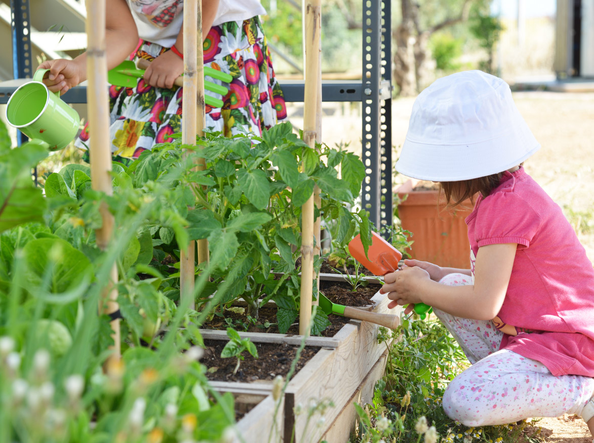 Sustainability Activities for the Classroom - Class Garden
