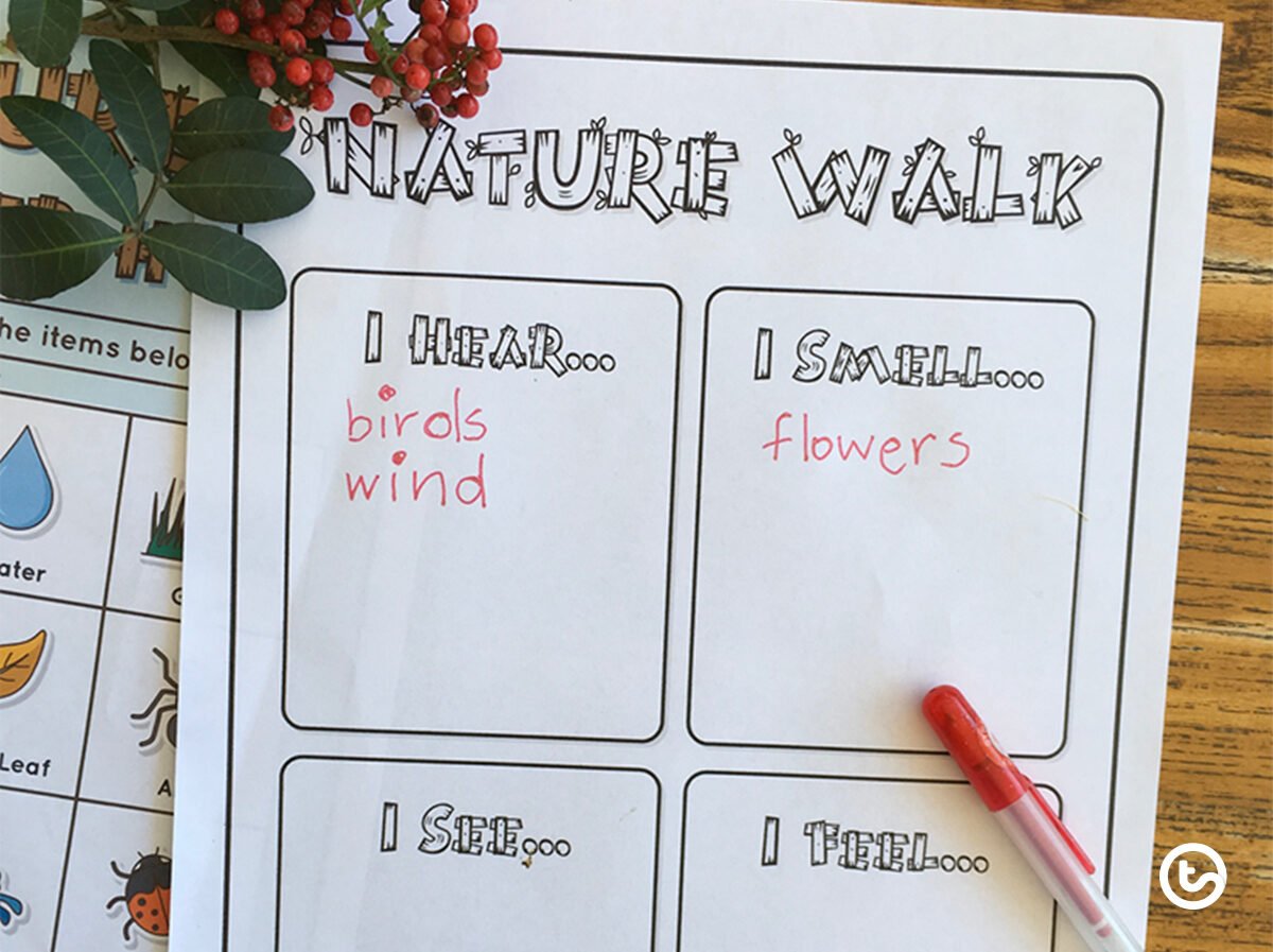 nature walk five senses worksheet