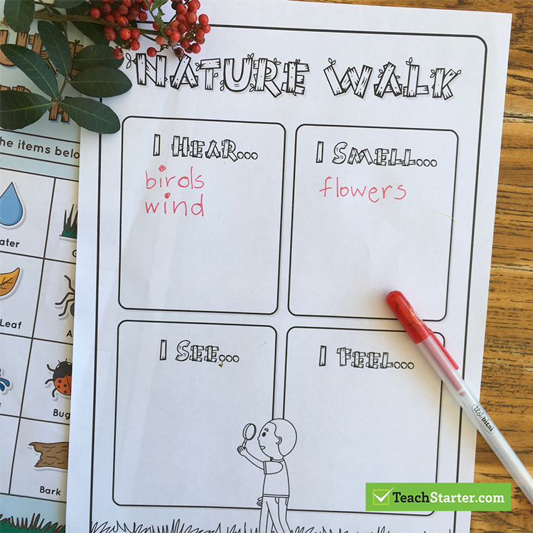 Nature Walk Senses Worksheet