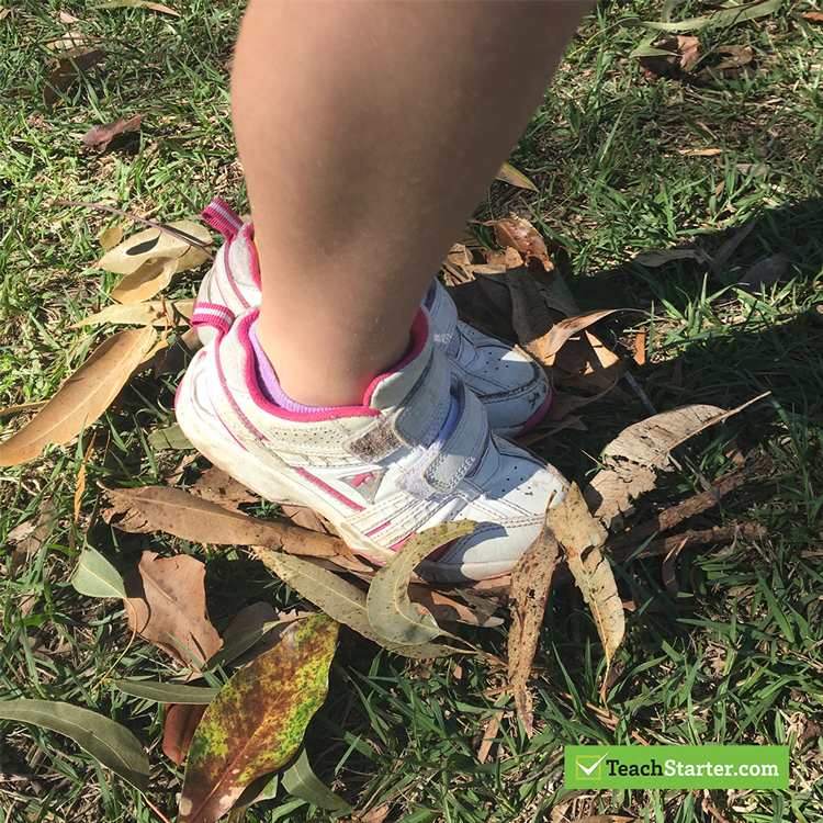 Fun activities to do at the park.