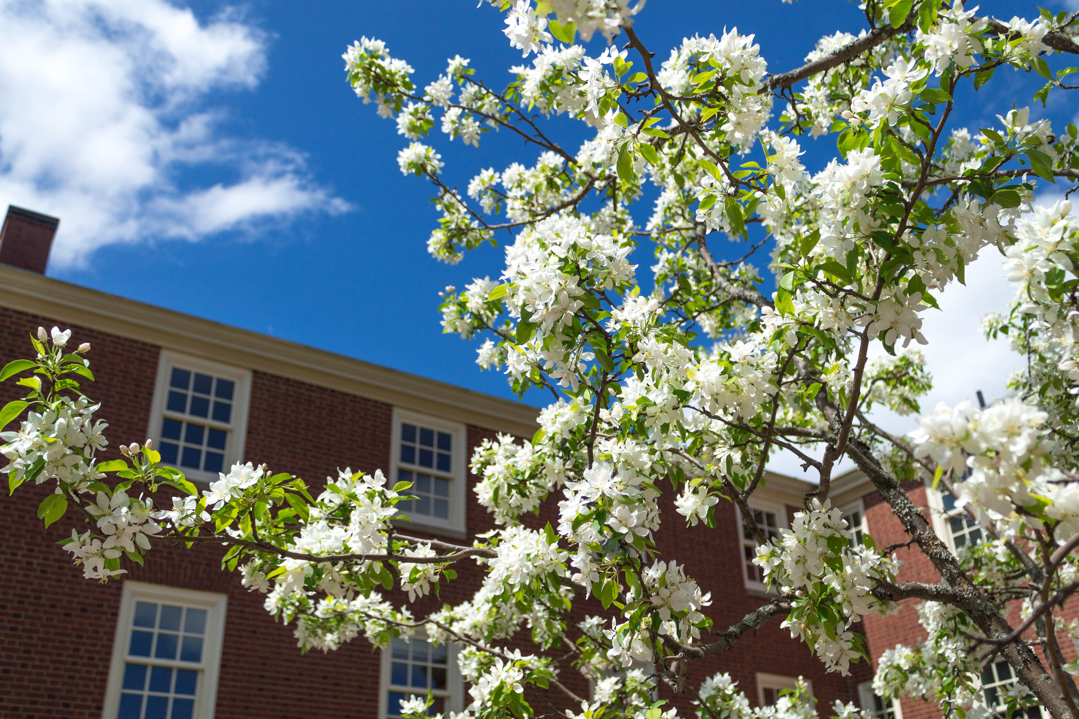 looking up at a tree and the sky outside school - self care strategies for teachers