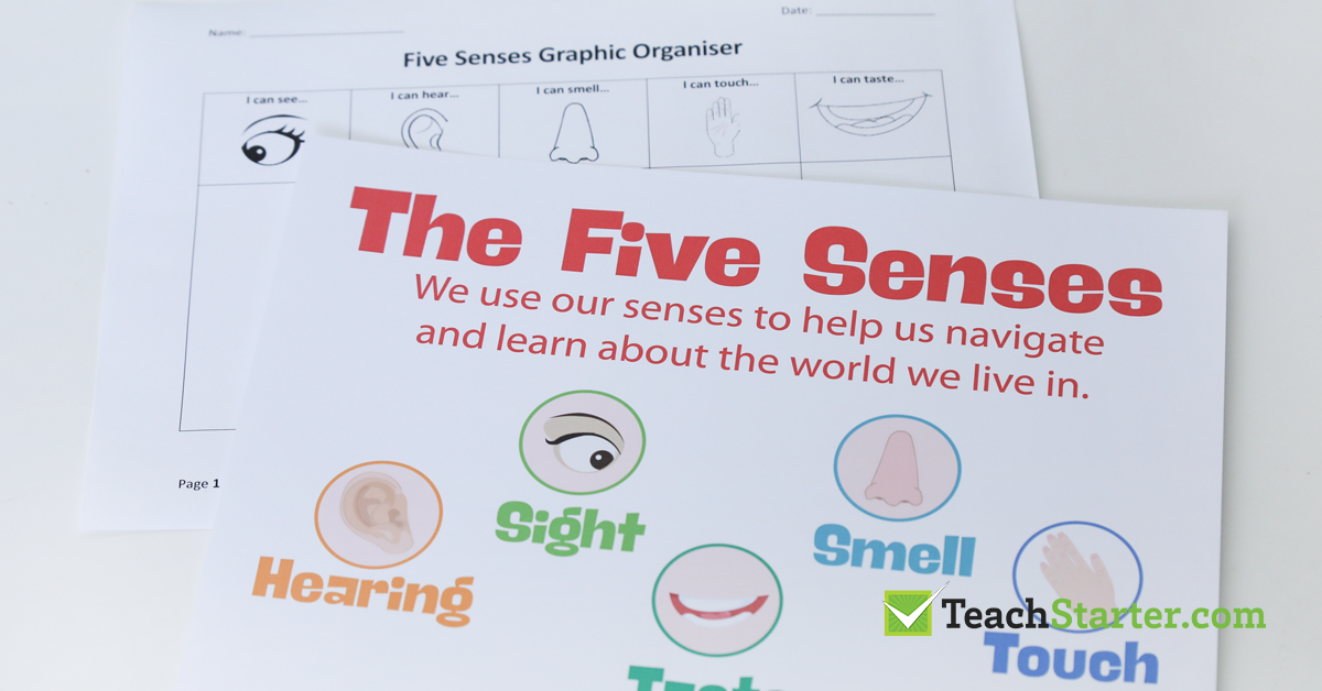 visualising teacher resources - the five senses