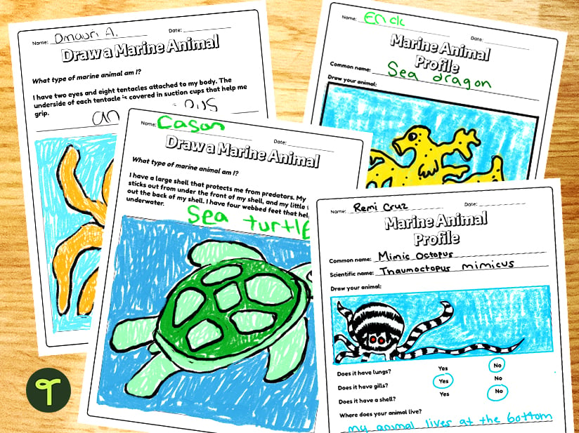 Ocean animal worksheets