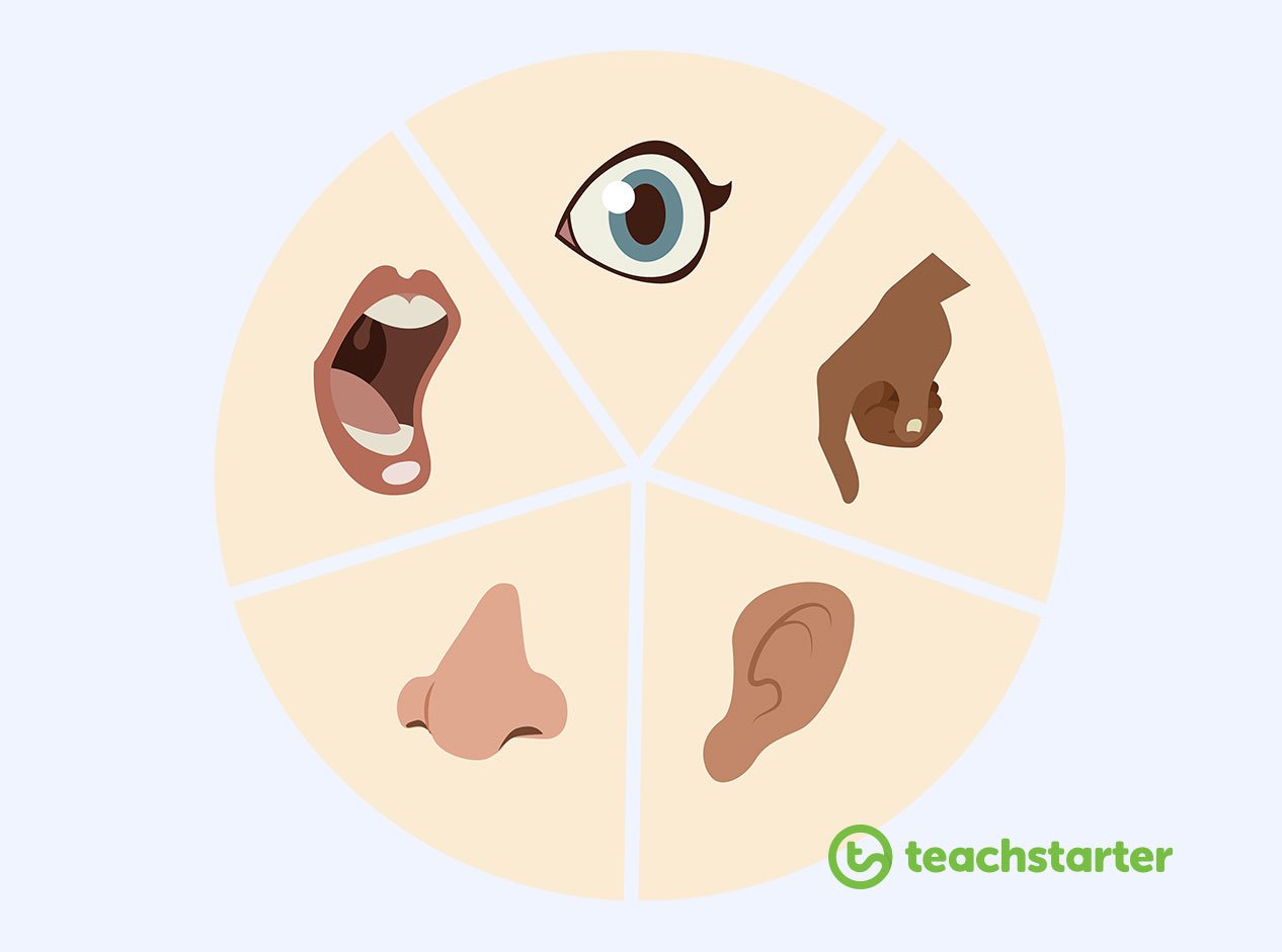 sense countdown mindfulness activity for students