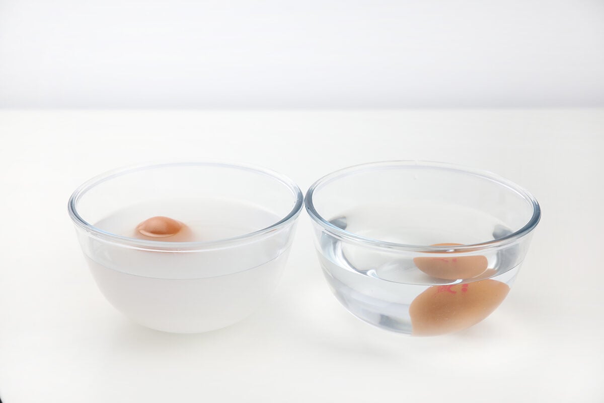 Egg Water Density experiment