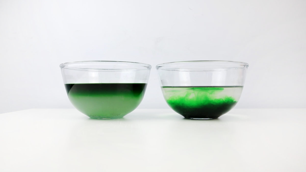 Salt water density experiment with food dye