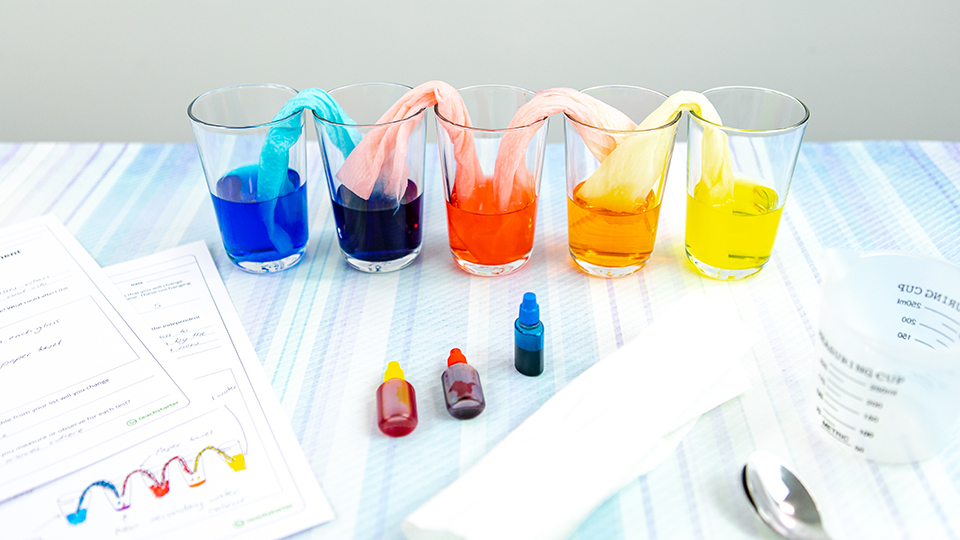 capillary action water experiment for kids