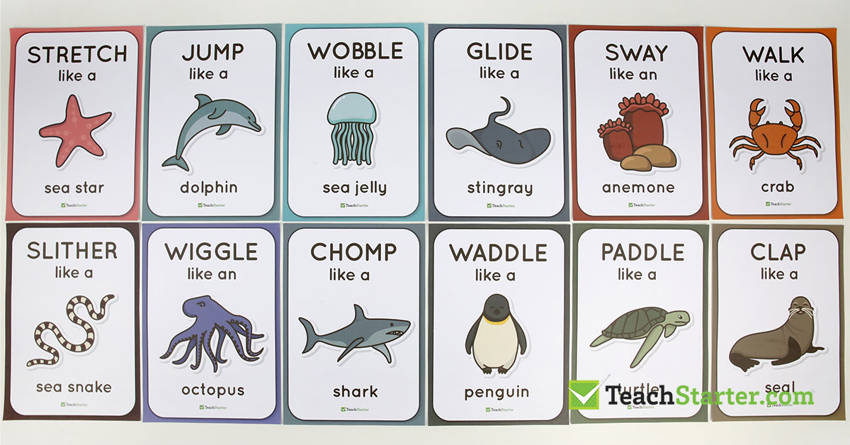 a set of ocean movement cards