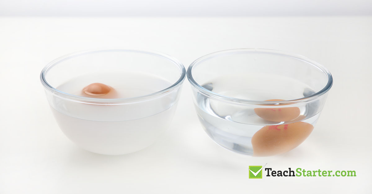 Eggs in bowls for a simple salt water density experiement