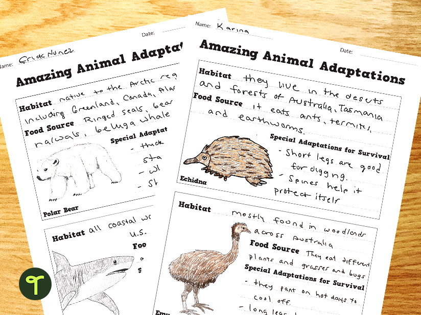 Australian animal adaptation worksheets