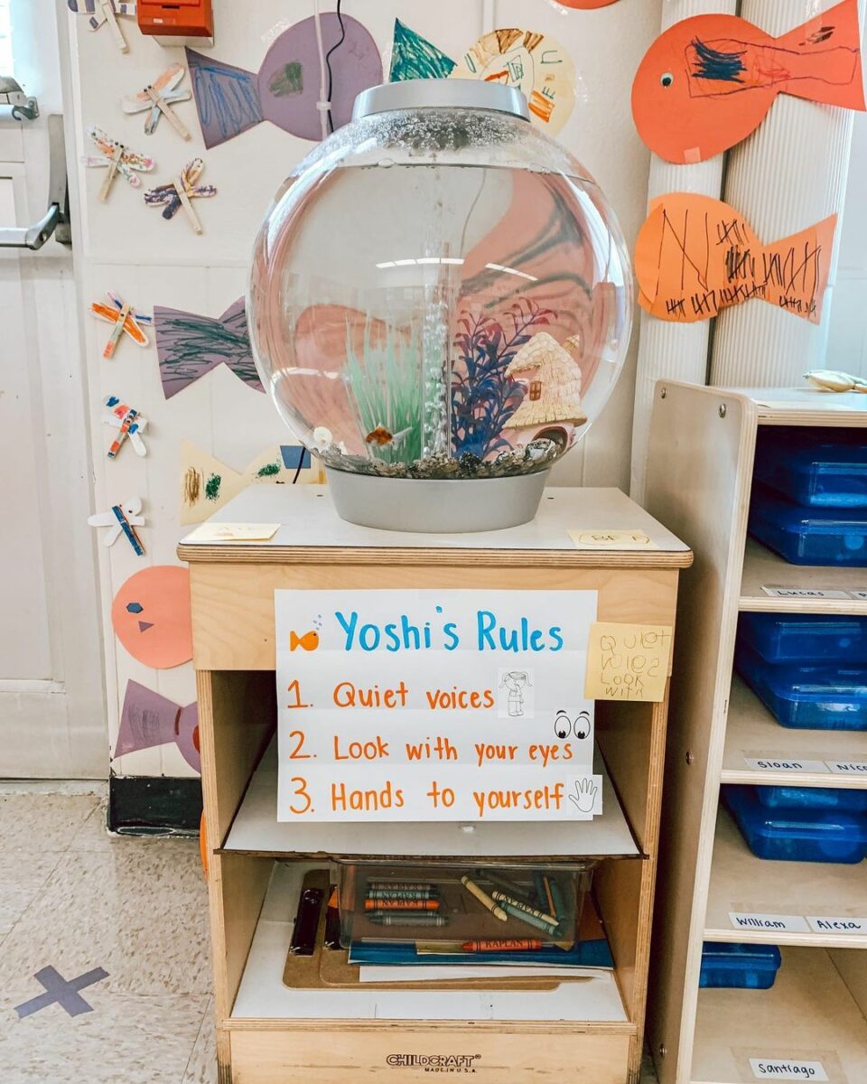 Fish classroom pet in a bowl with rules