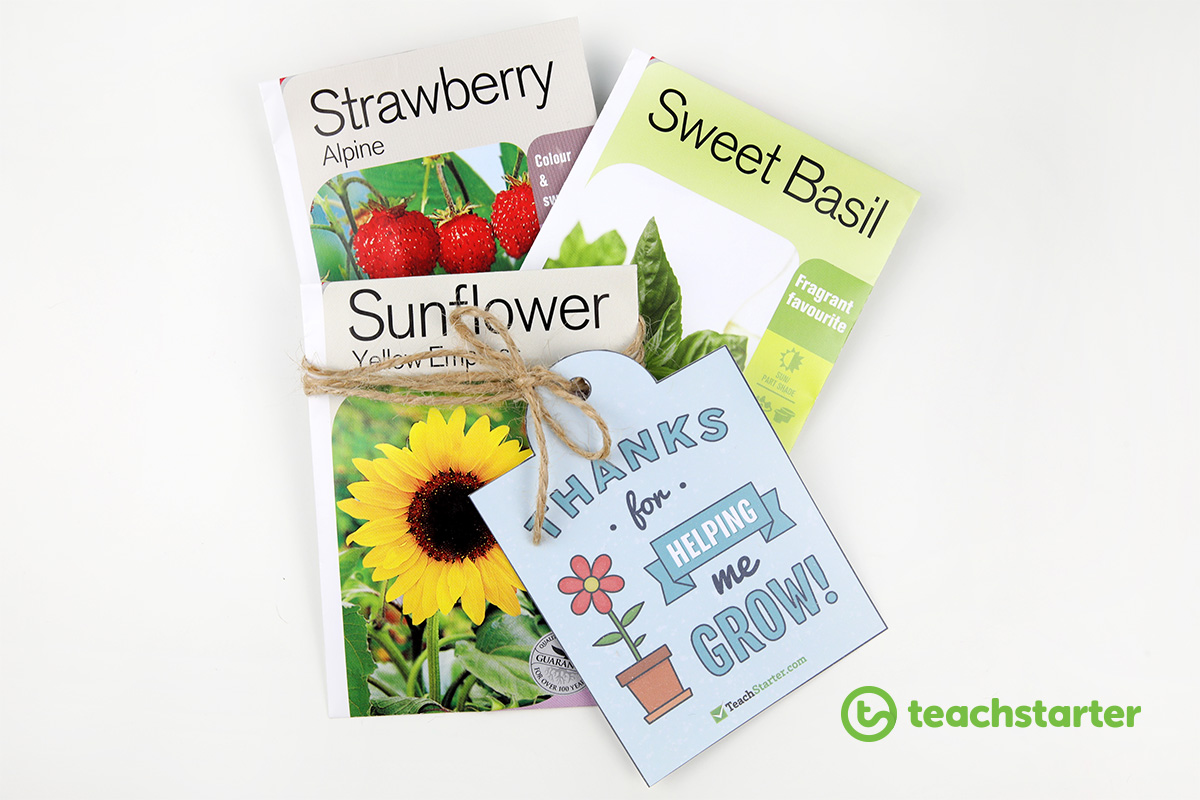 Best Teacher Gift Ideas - seeds with free printable gift tag
