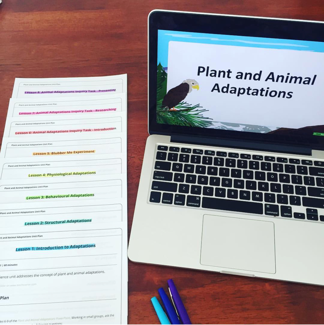 Unit plan on Adaptations