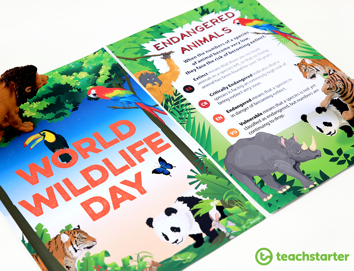 World Wildlife Day resources in the Classroom