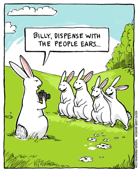Billy, dispense with the people ears - rabbits posing for photos with one holding 'people ears' up above another rabbit's head