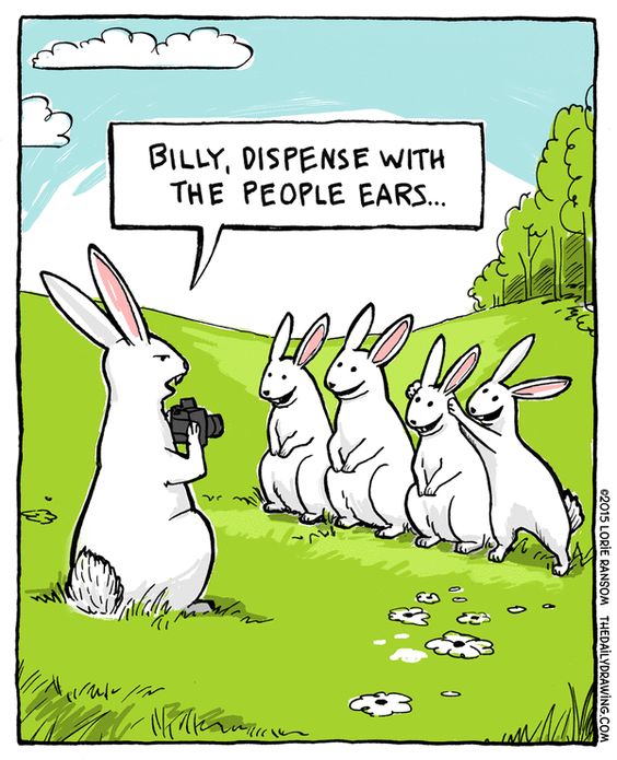 10 of the Funniest Easter Cartoons and Memes  Teach Starter Blog  Teach  Starter