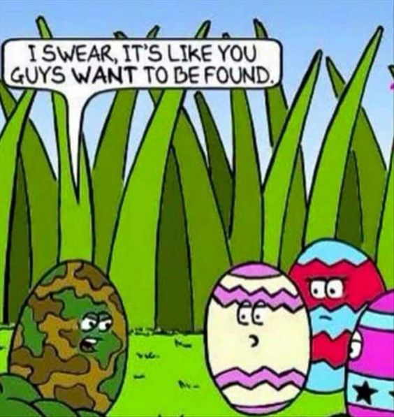 I swear it's like you guys want to be found - camoflage egg speaks to colourful easter eggs