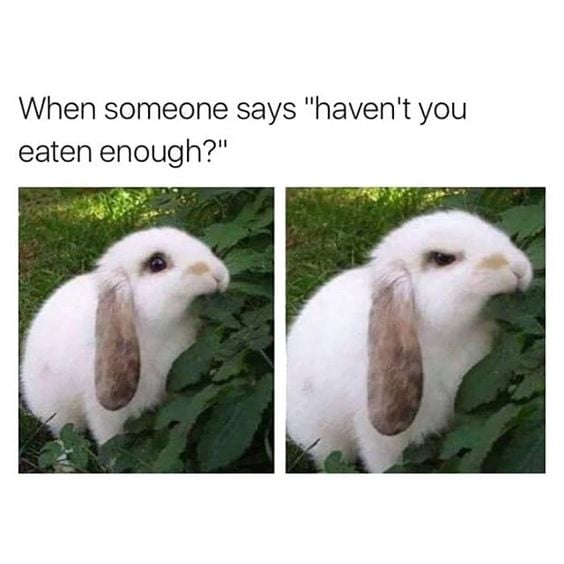 Bunny eating leaves looks happy, bunny eating leaves looks angry - caption reads 