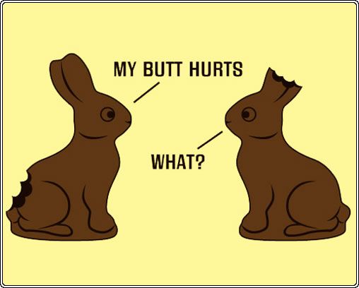 one chocolate bunny with his tail missing says 