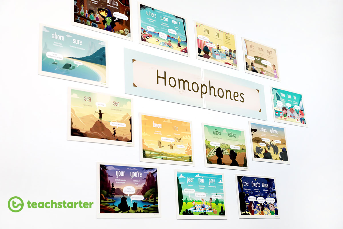 Homophones Posters Classroom Display