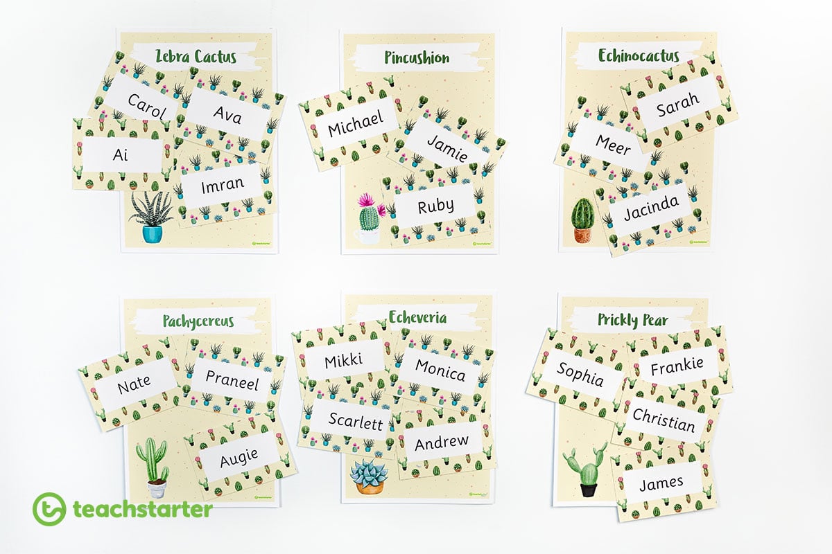 Cactus Classroom Theme Pack