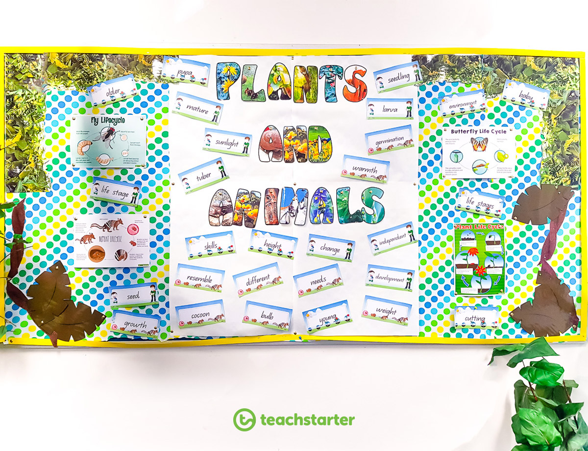 45 Sustainable Practices for the Environmentally Friendly Classroom - Fabric Display