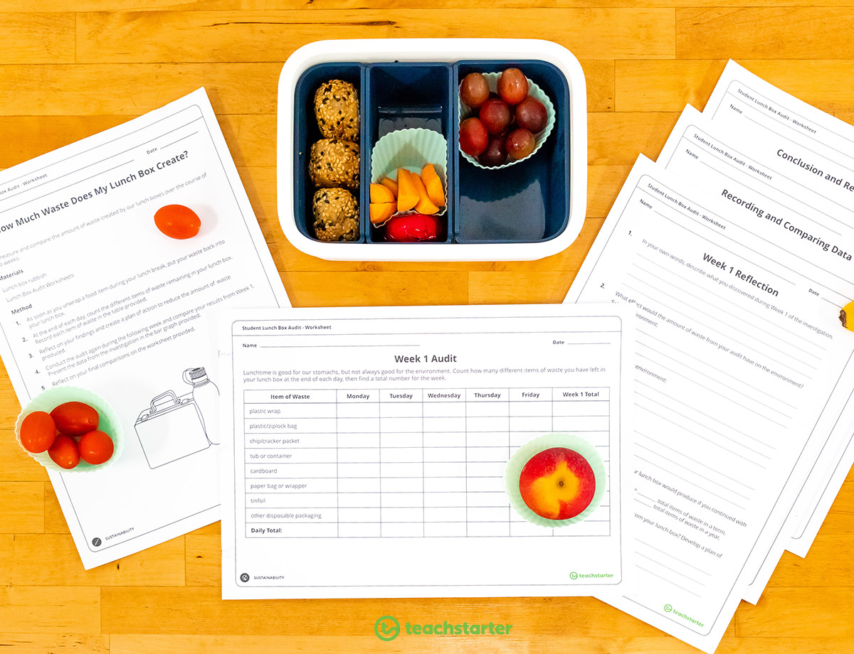 Student Lunch Box Audit