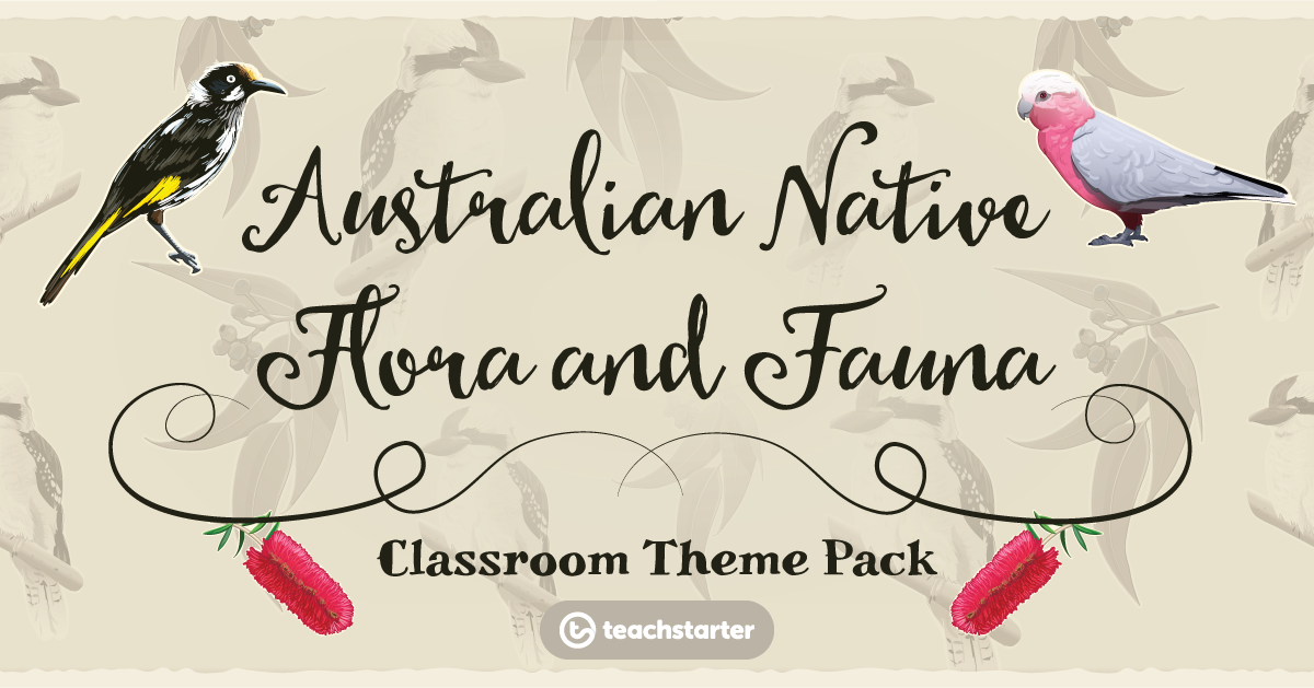 Native Australian Flora and Fauna Classroom Theme Pack