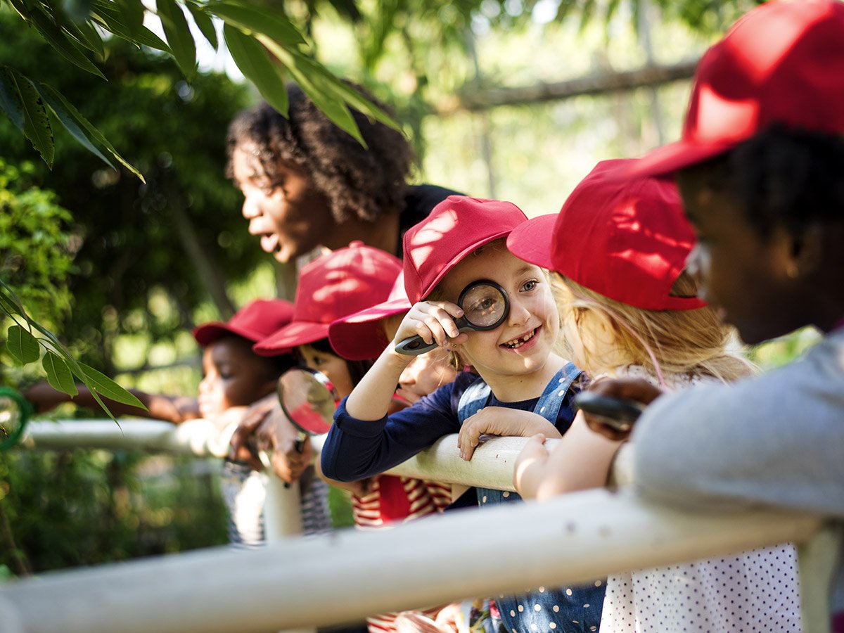 on a school excursion 100 students