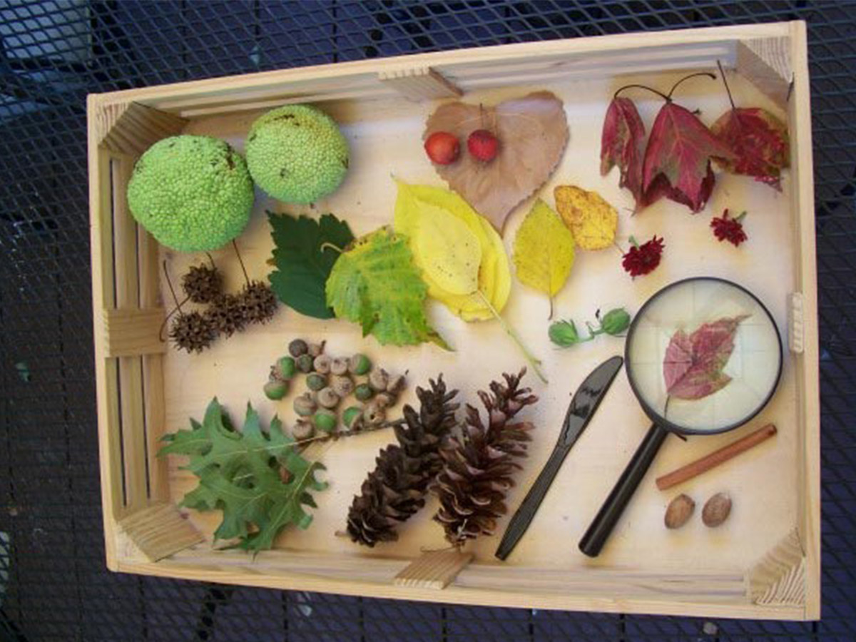 Learning Tray Ideas in the Classroom