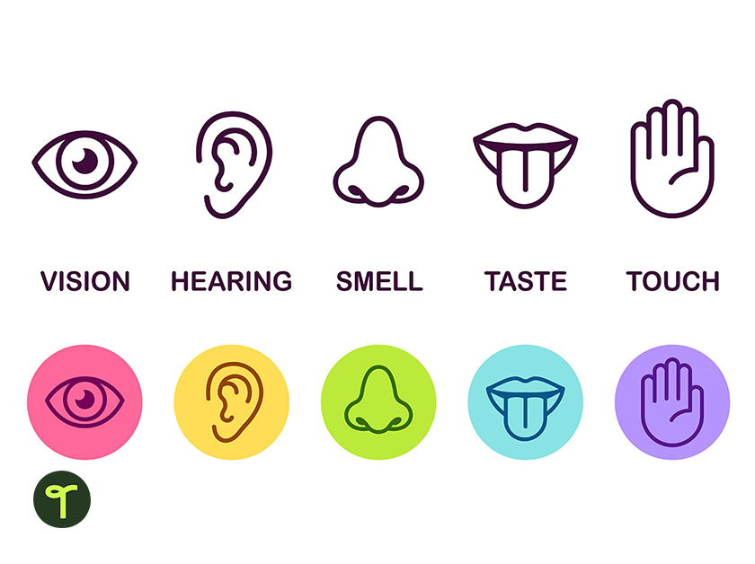 the 5 senses of the human body listed out with symbols of each