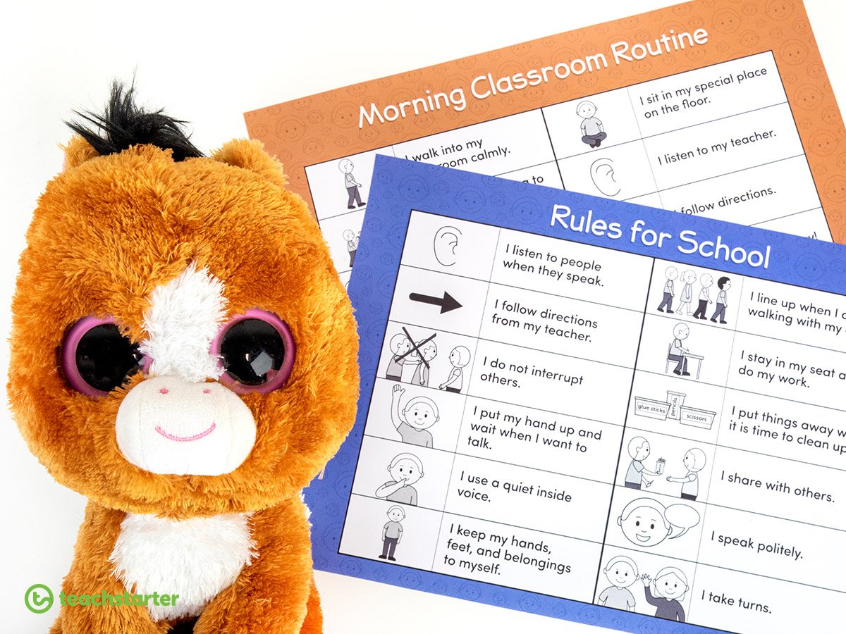 How to use a class mascot in the classroom