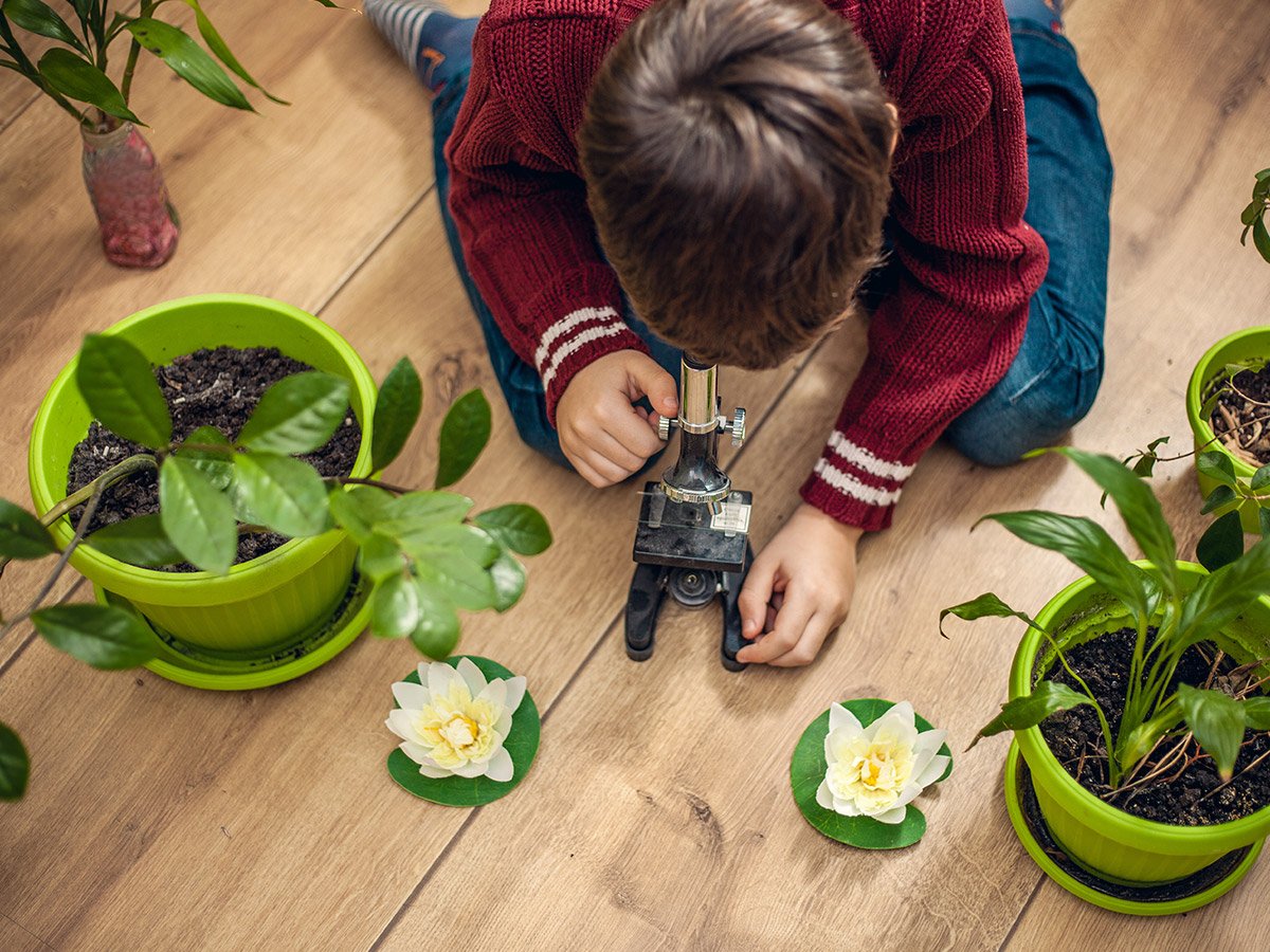 Plant Power | 5 Benefits of having plants in the classroom - plants freshen the air