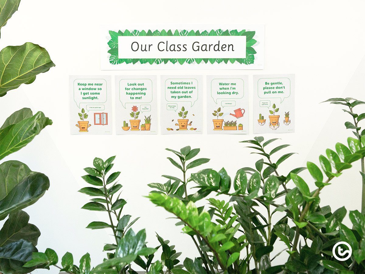 Plant Power | 5 Benefits of Having Plants in Your Classroom