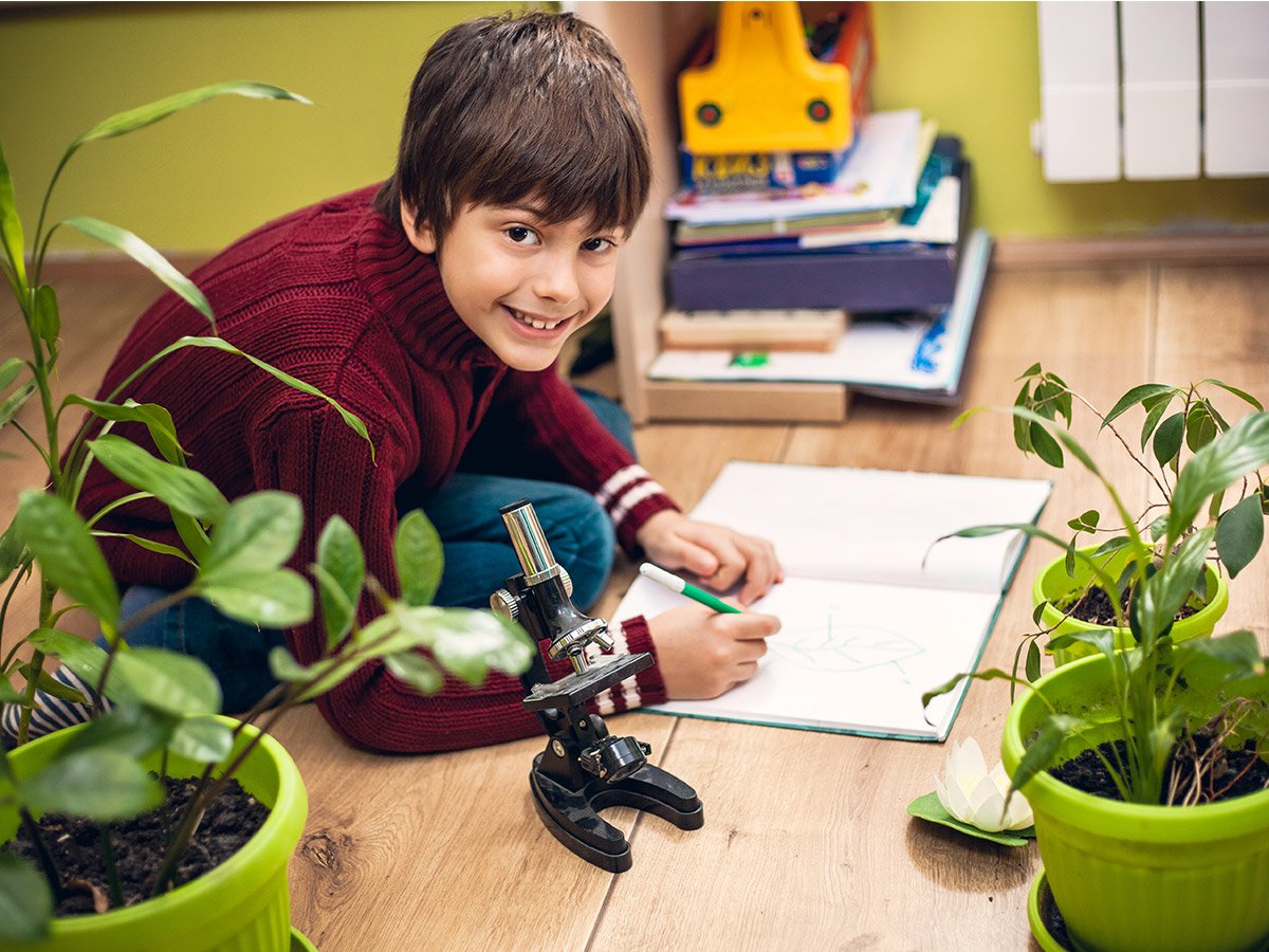 Plant Power | 5 Benefits of having plants in the classroom - plants improve wellbeing