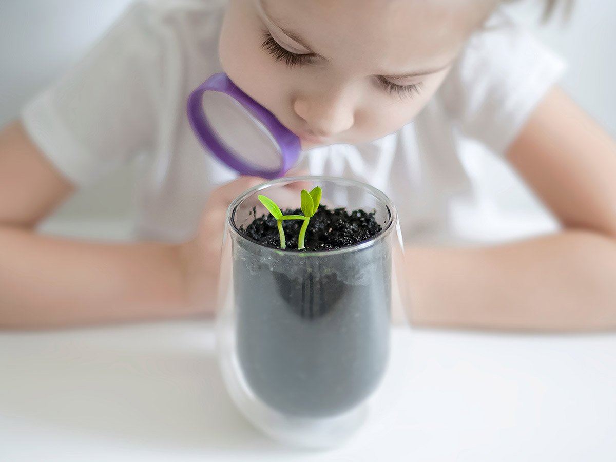 Plant Power | 5 Benefits of Having Plants in the Classroom - Plants Raise Environmental Awareness