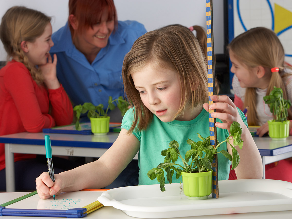 Plant Power | 5 Benefits of Plants in the Classroom - Plants help students learn in a number of learning areas!